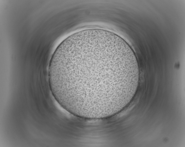 X0000090701535200708171836