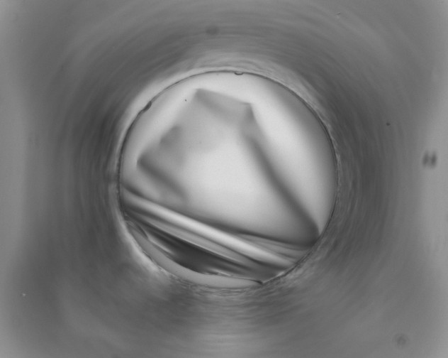 X0000090701536200708171836