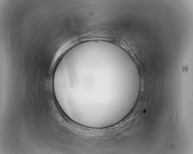 X0000090710004200707201002