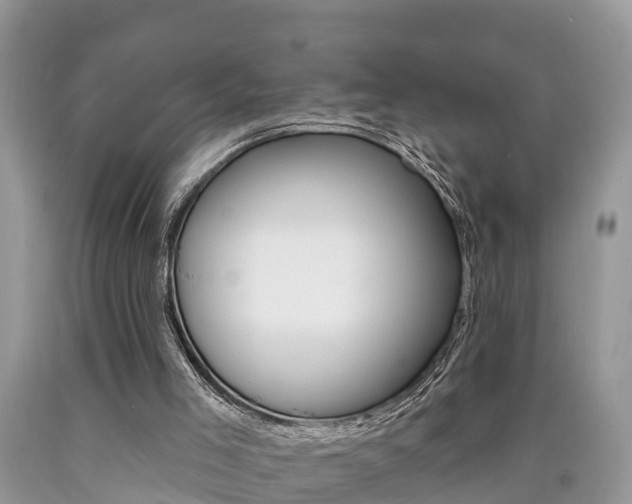 X0000090710005200707201002