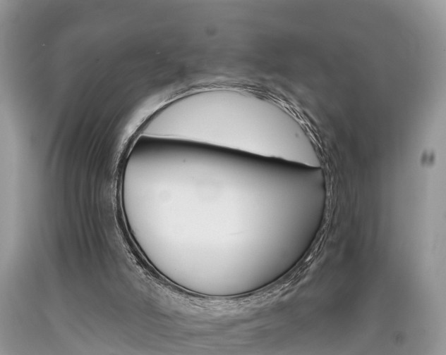 X0000090710006200707201002