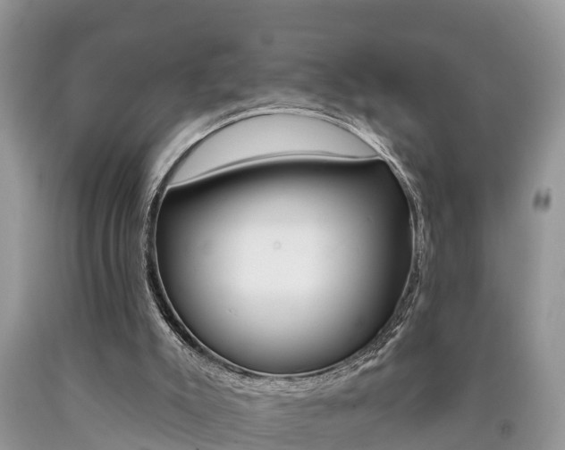 X0000090710007200707201002