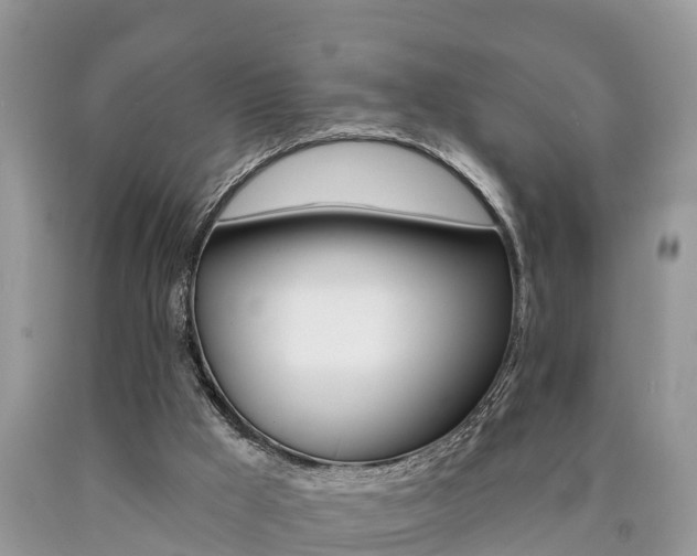 X0000090710009200707201002