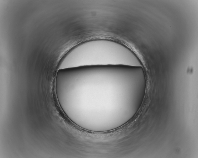 X0000090710010200707201002