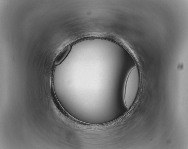 X0000090710011200707201002