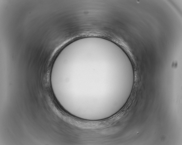 X0000090710012200707201002