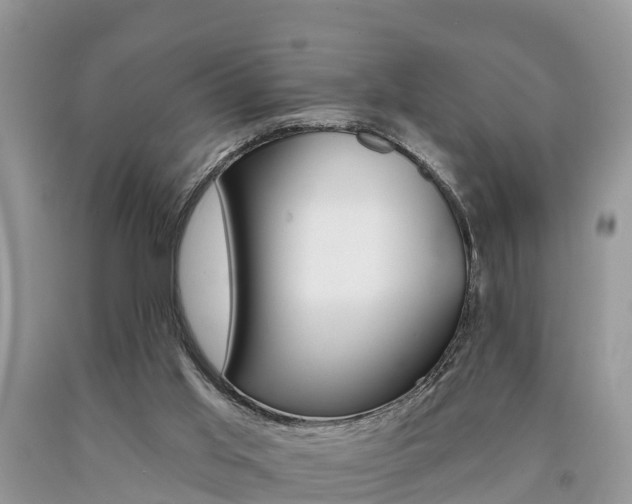 X0000090710013200707201002