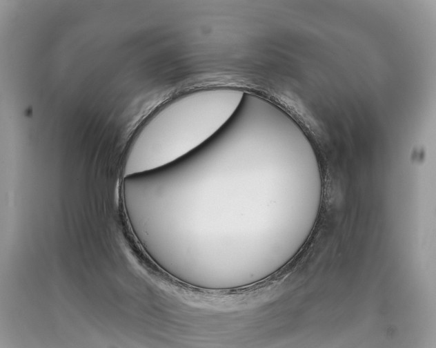 X0000090710014200707201002