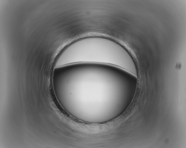 X0000090710015200707201002