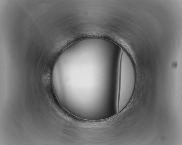 X0000090710017200707201002