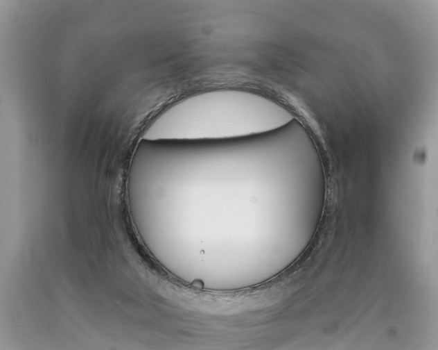 X0000090710018200707201002