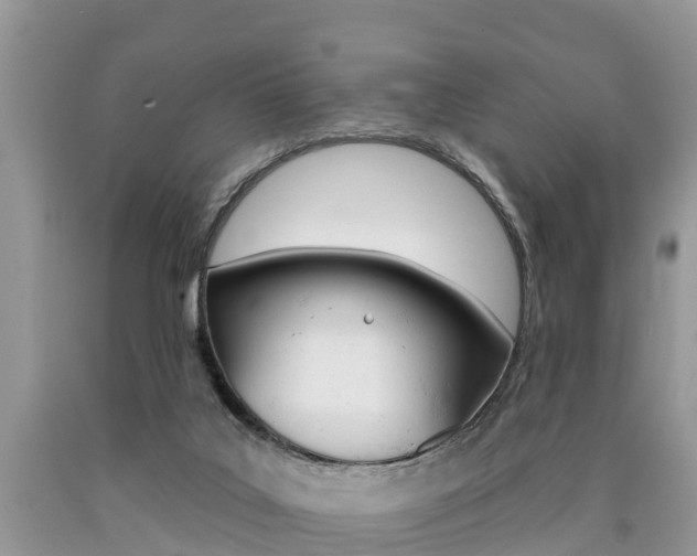 X0000090710019200707201002