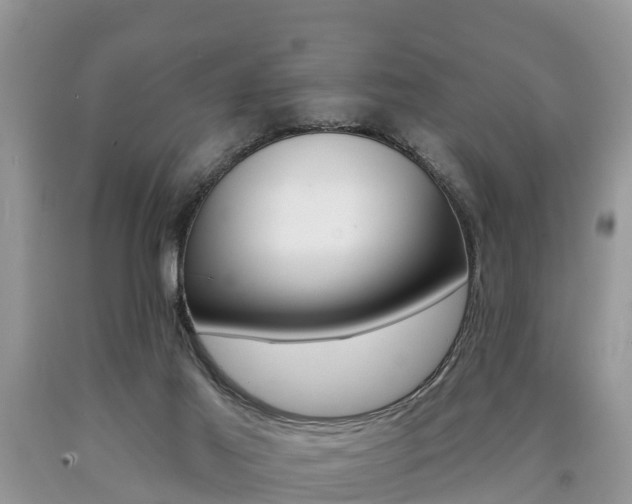 X0000090710021200707201002