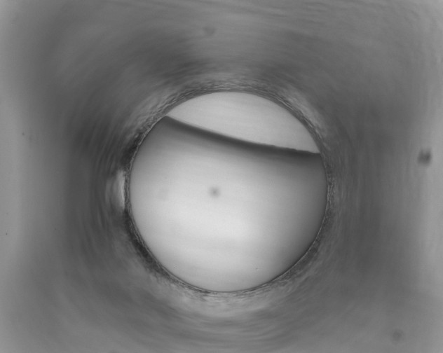 X0000090710022200707201002