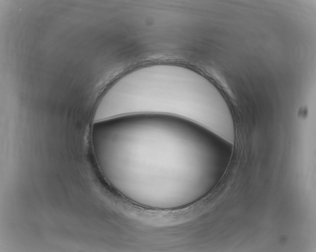 X0000090710023200707201002