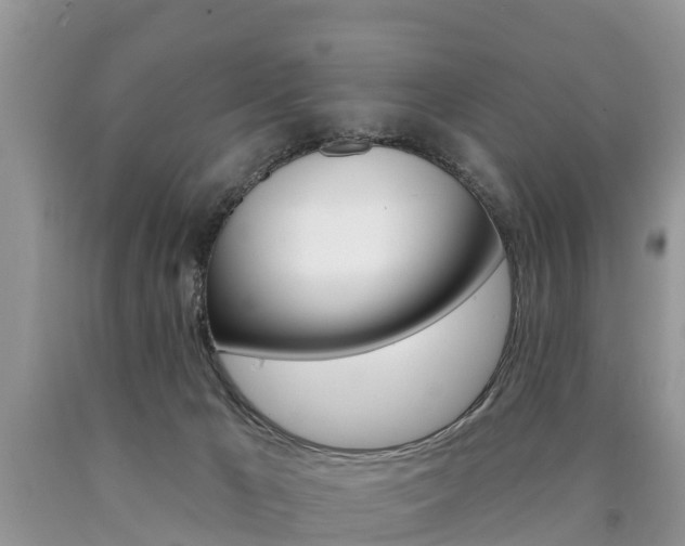 X0000090710029200707201001