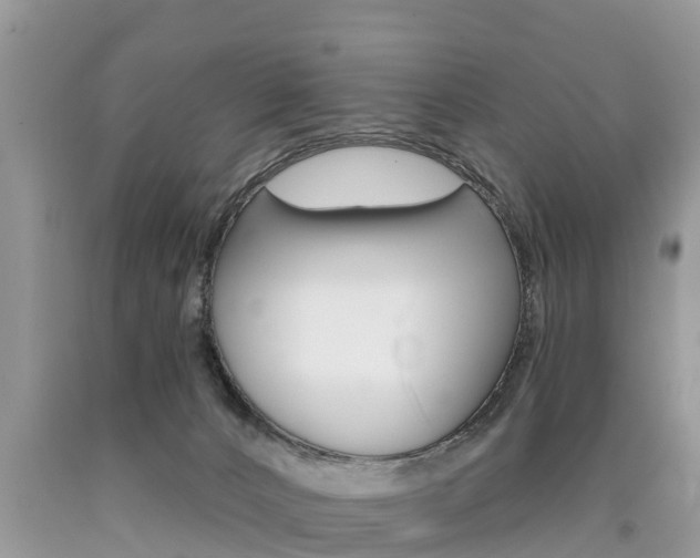 X0000090710032200707201001