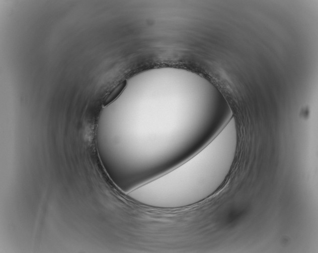 X0000090710033200707201001