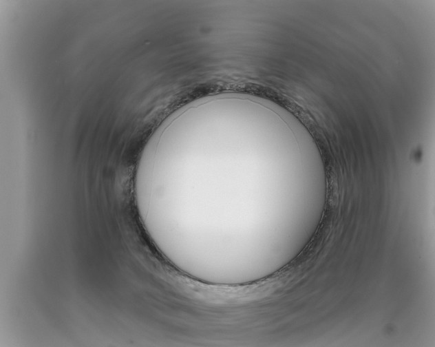 X0000090710034200707201001