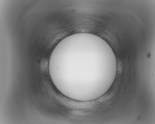 X0000090710036200707201001