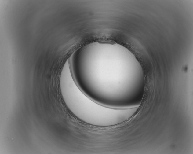 X0000090710037200707201001