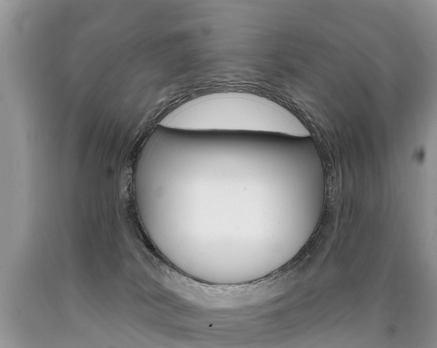 X0000090710038200707201001