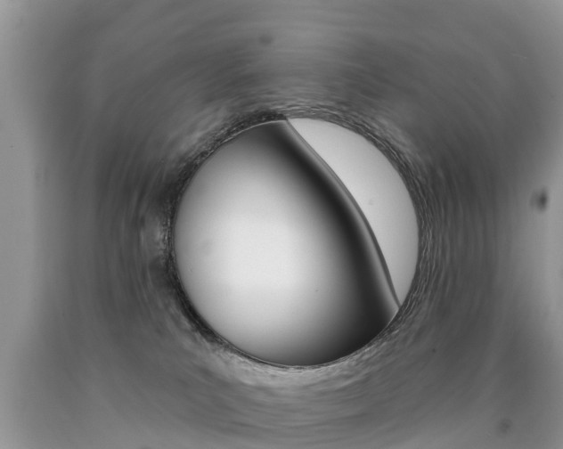 X0000090710039200707201001