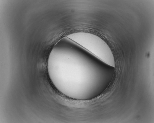 X0000090710040200707201001