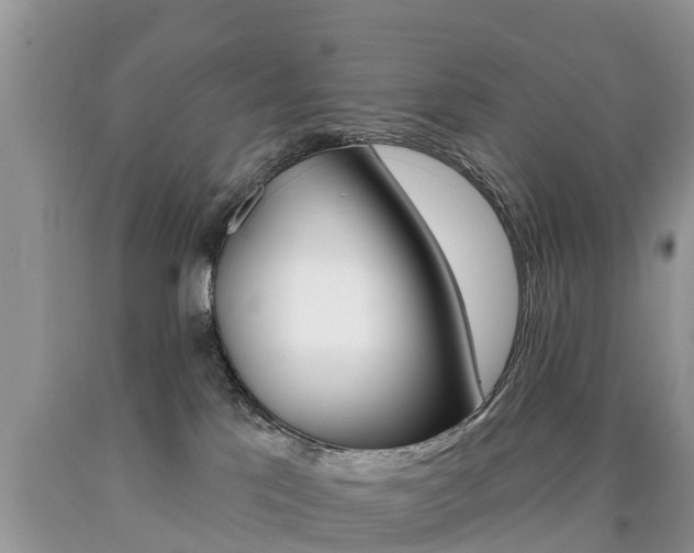 X0000090710041200707201001