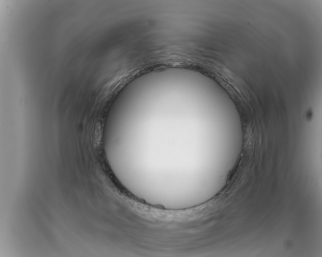 X0000090710043200707201001