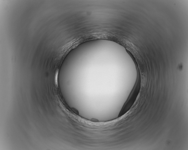 X0000090710047200707201001