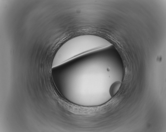 X0000090710048200707201001