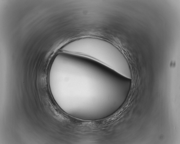 X0000090710050200707201001