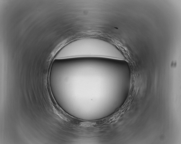 X0000090710051200707201001