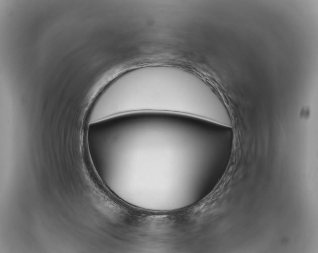 X0000090710054200707201001