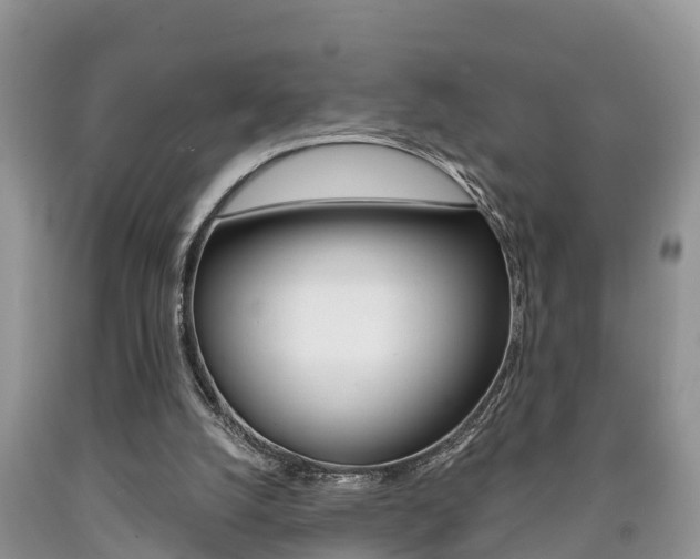 X0000090710056200707201001