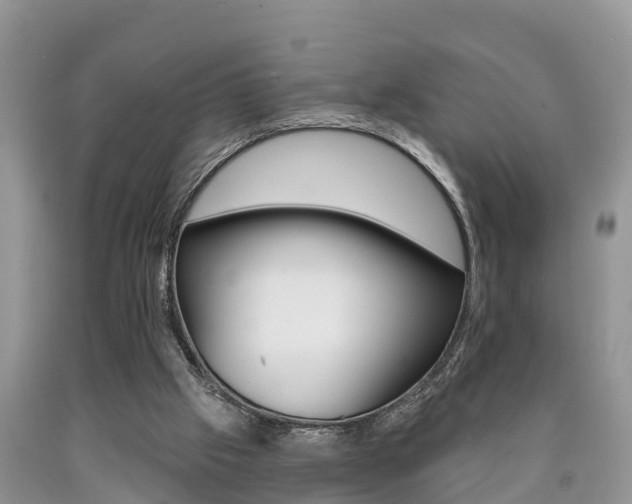 X0000090710057200707201001