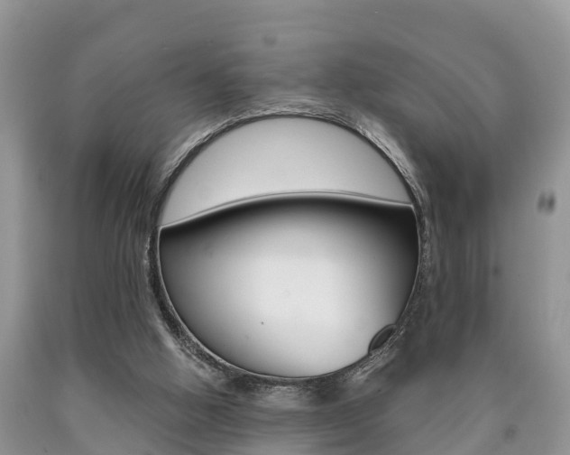 X0000090710058200707201001