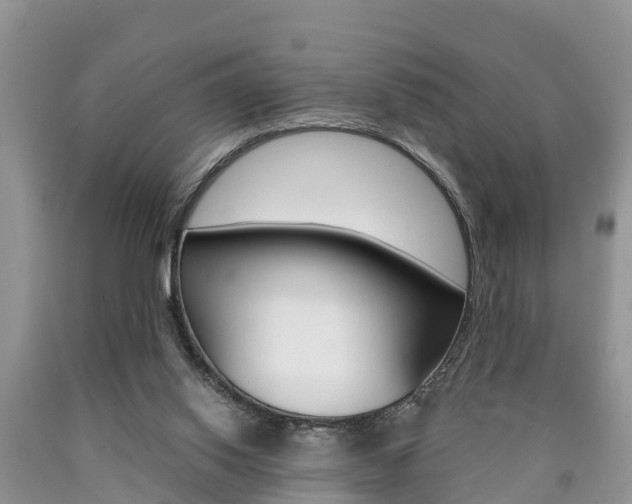 X0000090710062200707201001