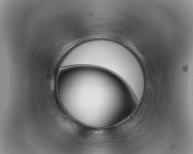 X0000090710068200707201001