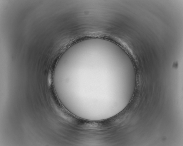 X0000090710069200707201001