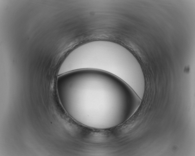 X0000090710072200707201001