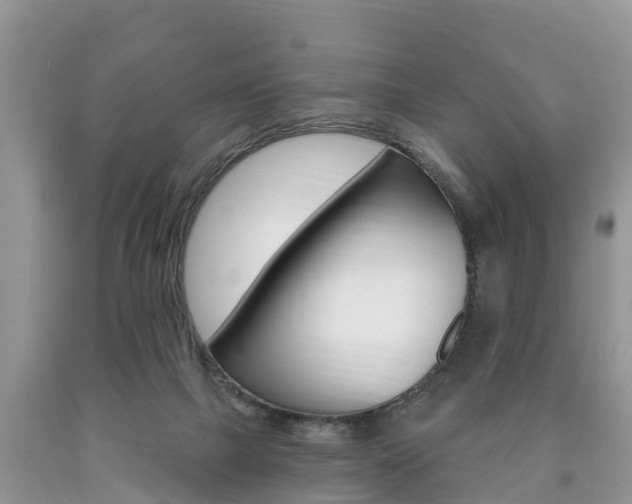 X0000090710073200707201001