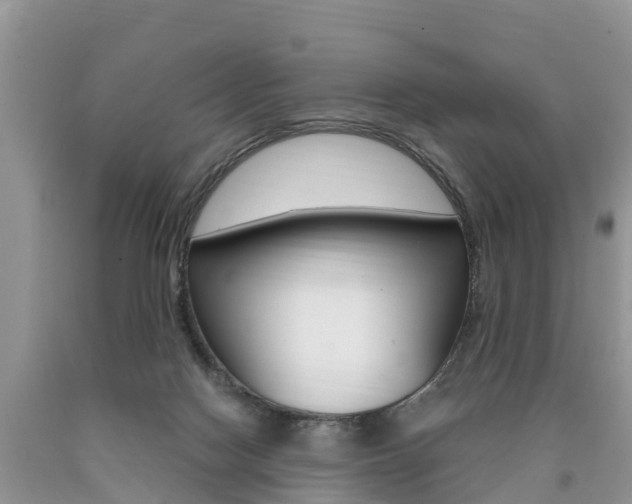 X0000090710074200707201001