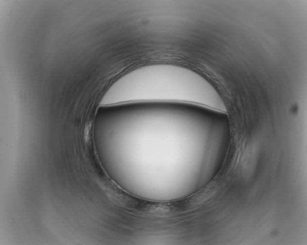 X0000090710075200707201001