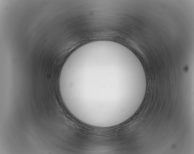 X0000090710076200707201001