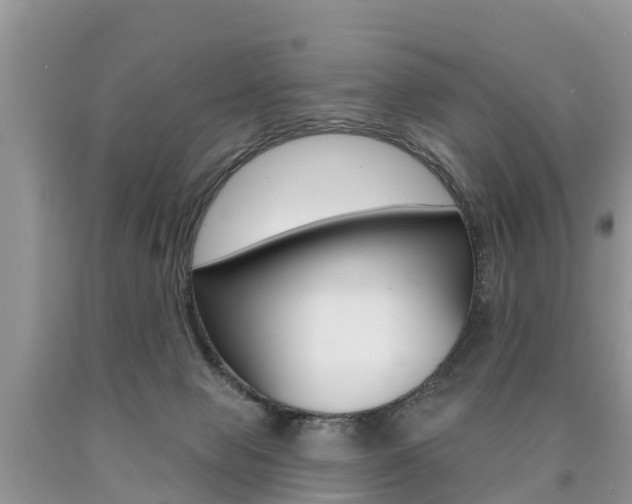 X0000090710077200707201001