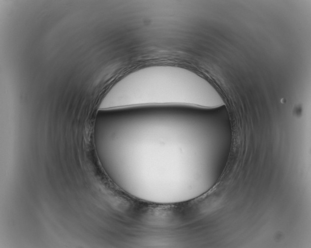 X0000090710078200707201001