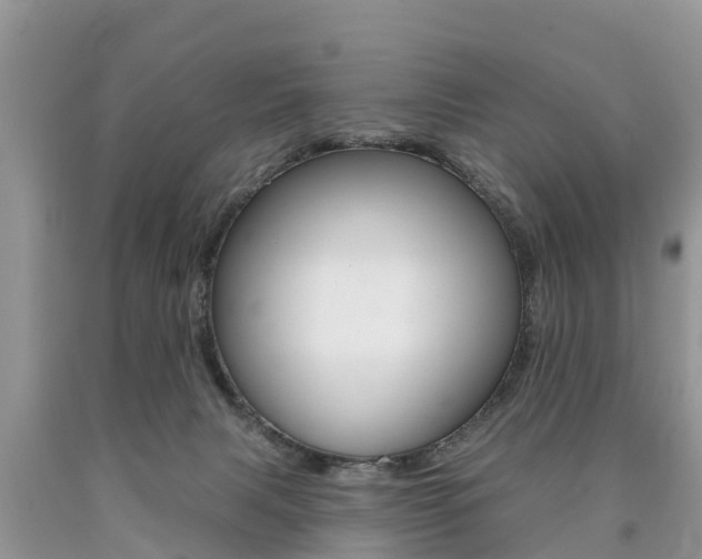 X0000090710079200707201001