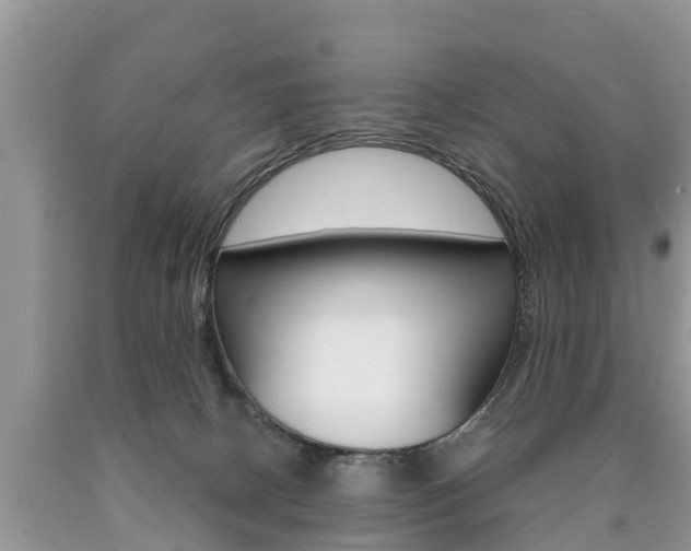 X0000090710082200707201001